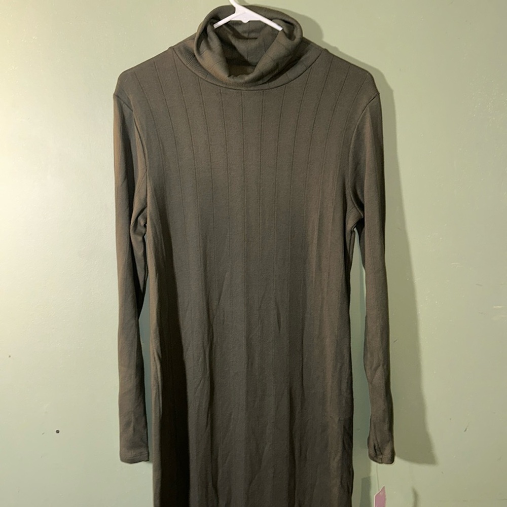 Wild fable turtleneck Olive green body con dress